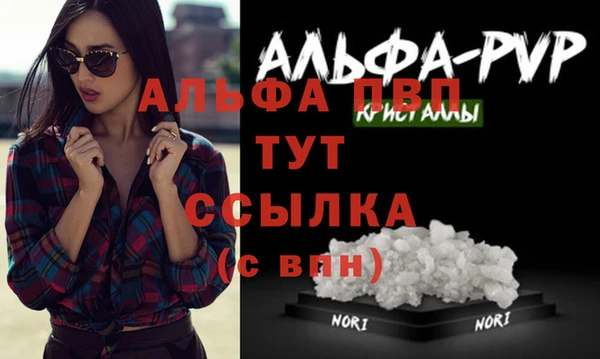 гашик Тавда