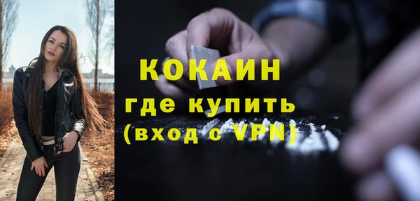 гашик Тавда