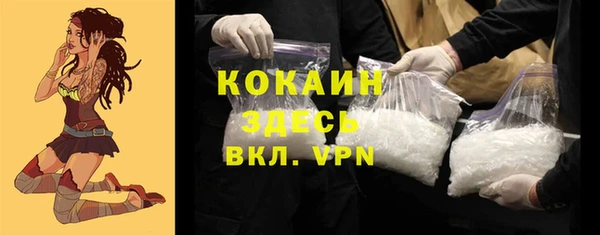 сатива Богданович