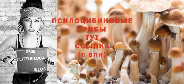 стафф Сясьстрой
