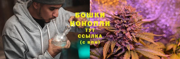 бошки Верхний Тагил