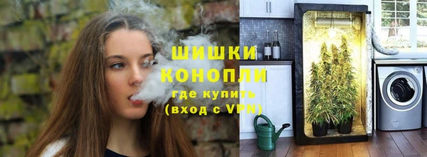 mdpv Тайга