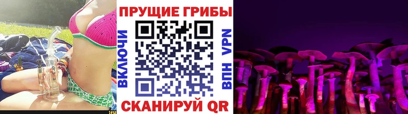 купить   Сретенск  Галлюциногенные грибы GOLDEN TEACHER 