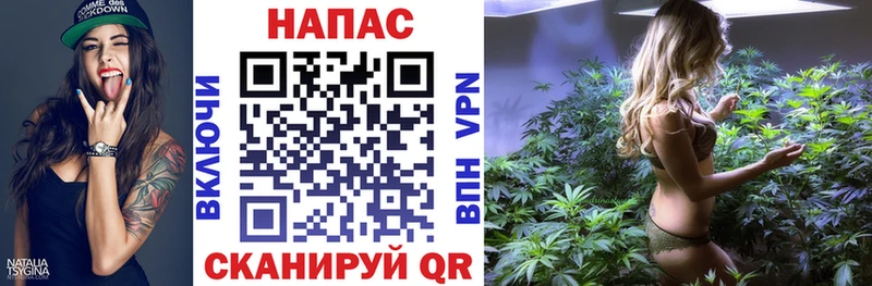 Бошки Шишки ГИДРОПОН  Сретенск 
